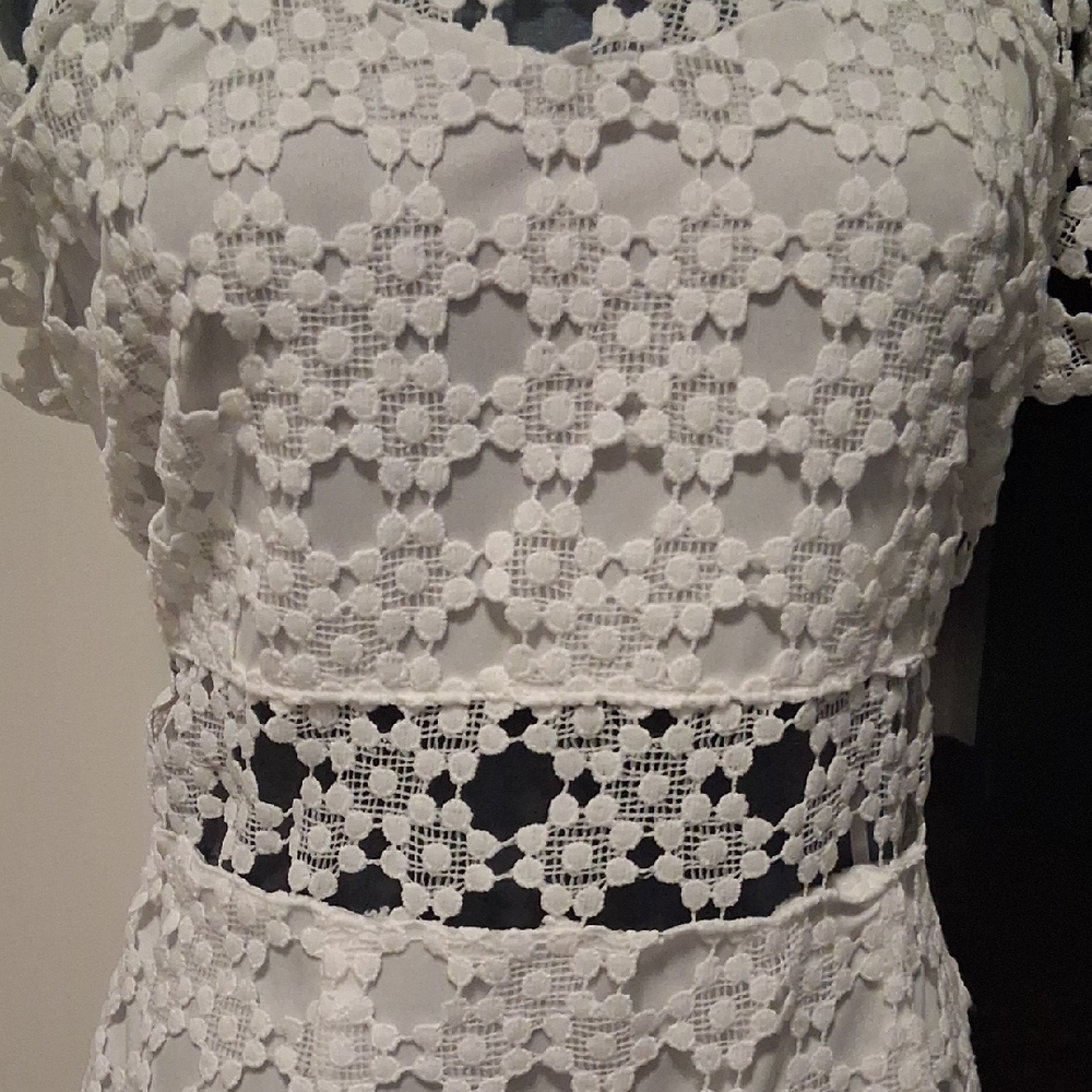 Petal & Pup Ivory Floral Lace Midi Dress - Picture 3 of 6